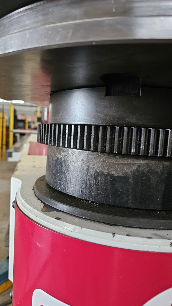 WhatsApp Image 2025-07-04 at 16.44.43