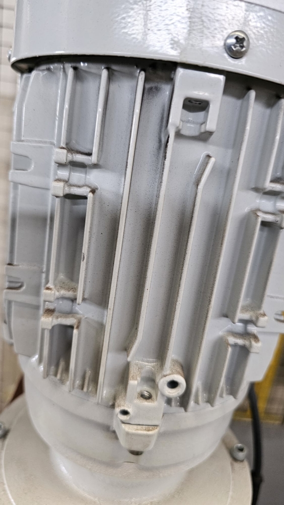 WhatsApp Image 2025-07-04 at 16.44.43 (8)